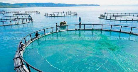fish-farming-cage