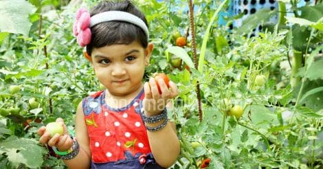 kid-child-with-tomato-vegetable