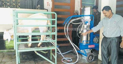 goat-milking-machine