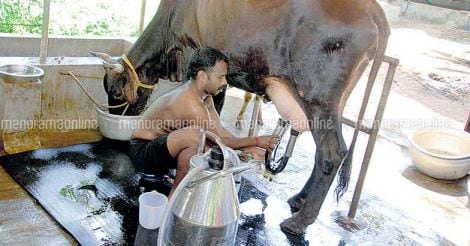 cow-milking-machine