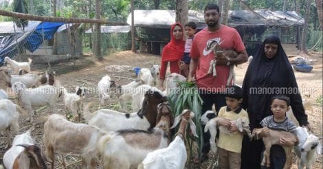 abdul-latheef-goat-farm