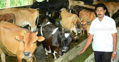 abubacker-siddique-dairy-farm