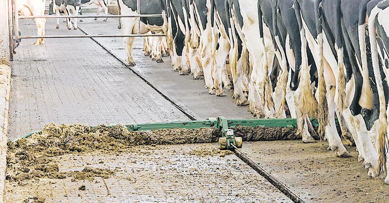 2DairyFarming_Cable- 2DairyFarming_Cable-