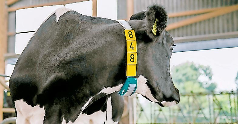 4DairyFarming 4DairyFarming