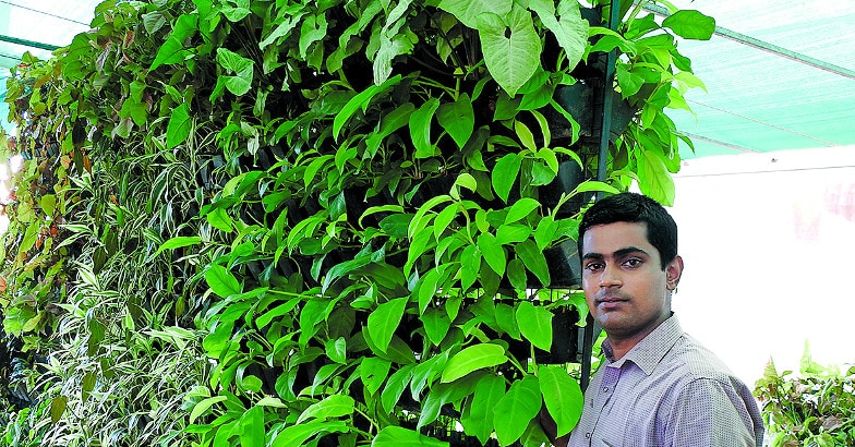 DSCN1805 DSCN1805