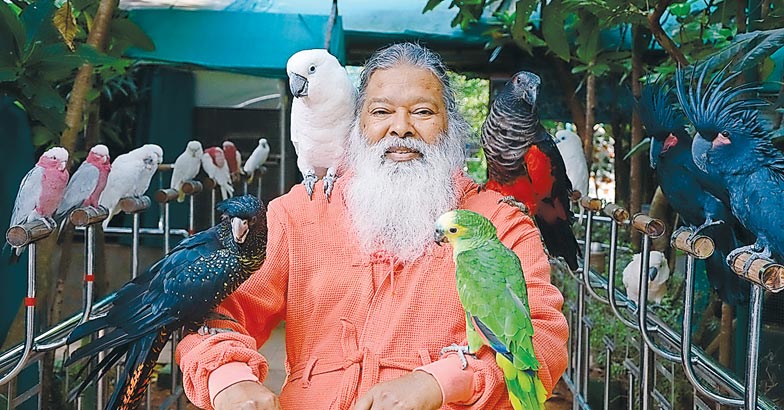 parrot3 parrot3