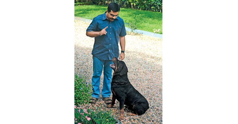 dog_1 dog_1