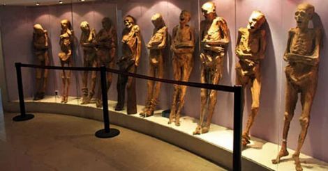 The Museum of the Mummies)