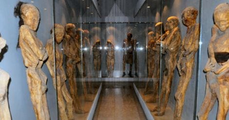 The Museum of the Mummies)