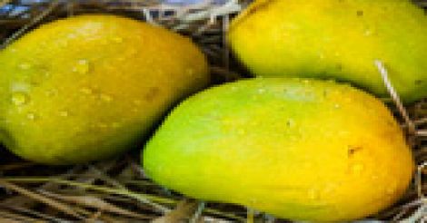 inside-mango