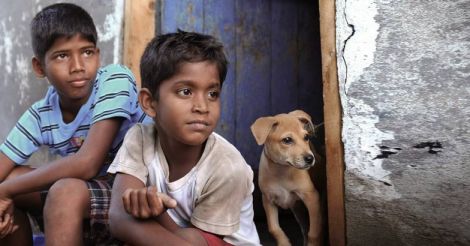 kaka-muttai-img kaka-muttai-img