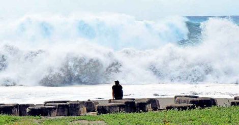 mangkhut