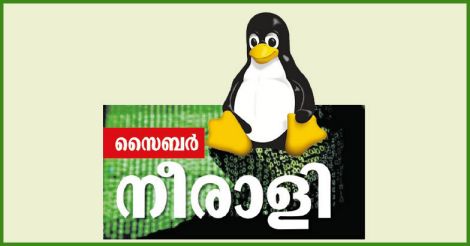cyber-linux