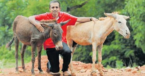 aby-with-his-donkeys