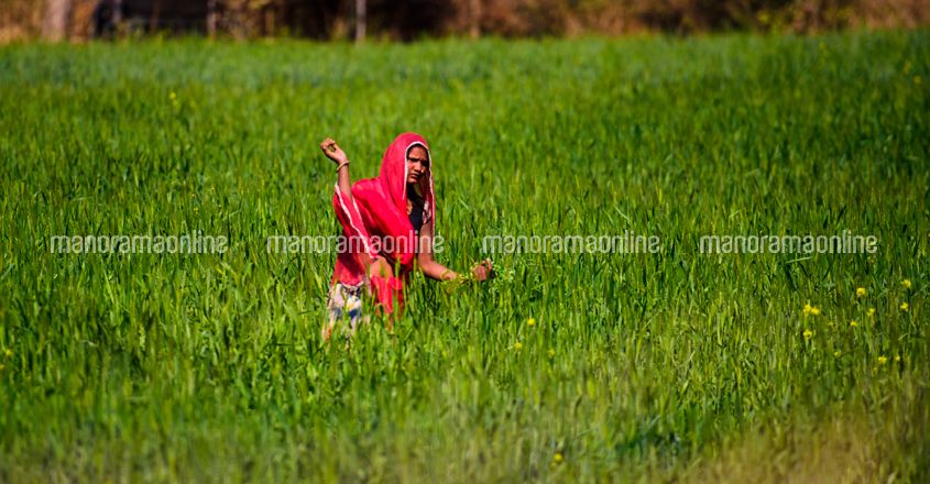 Agri-Field Agri-Field