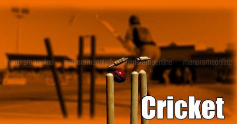 cricket-representational-image