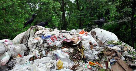 Waste-In-Wayanad-Forest