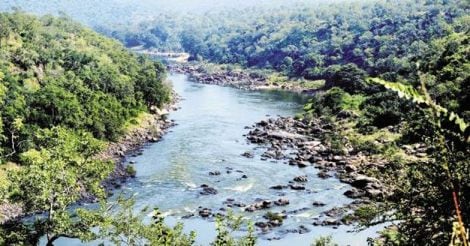 mahadayi-river