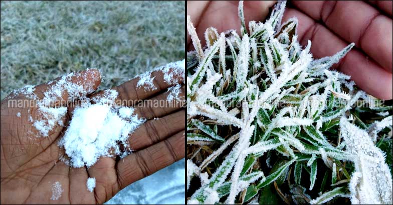 munnar-snow-10 munnar-snow-10