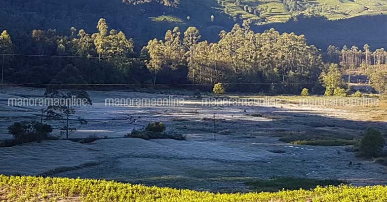 munnar-snow-12 munnar-snow-12