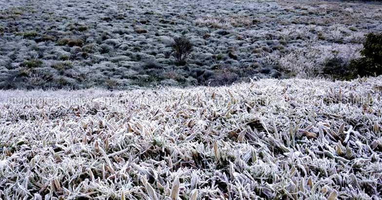 munnar-snow-9 munnar-snow-9