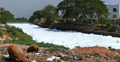 Bellandur Lake