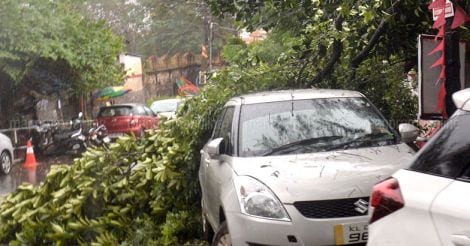 Rain Havoc | Thiruvananthapuram