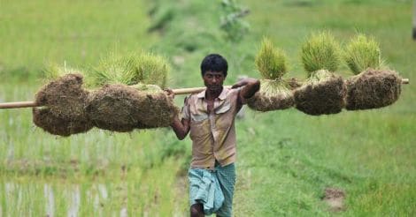 farmer-india