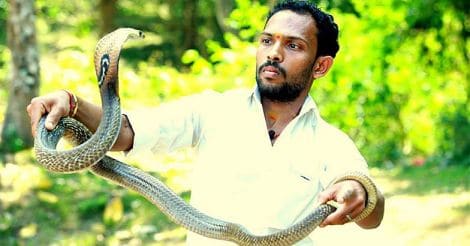Abeesh KA Snake Catcher