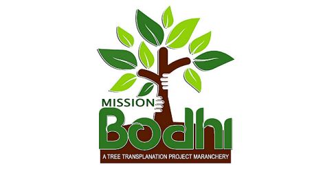 tree-mission-bodhi