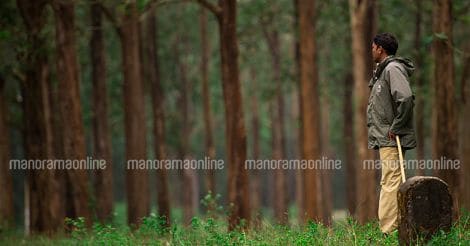 Kerala Forest Wayanad