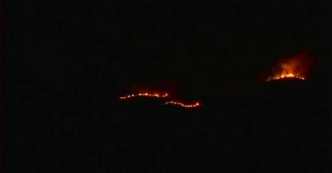 Theni forest fire