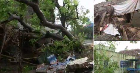 Cyclone Gaja Hits Tamil Nadu