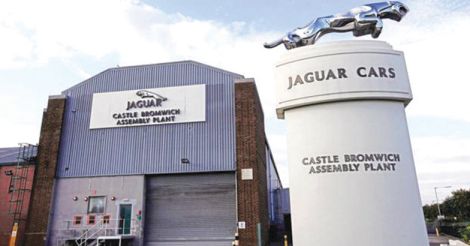 Jaguar-plant