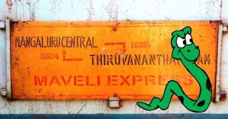 snake-in-maveli-express