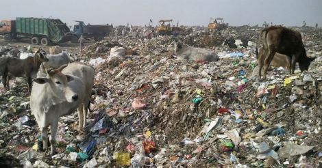 waste in delhi 