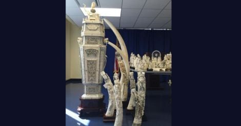 ivory-2 ivory-2