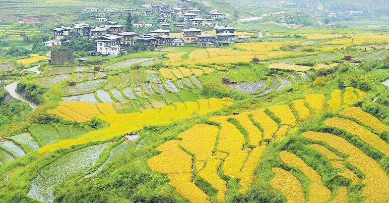 bhutan-28 bhutan-28