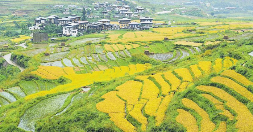 bhutan-28 bhutan-28