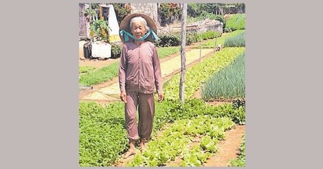 zim-in-her-vegetable-farm
