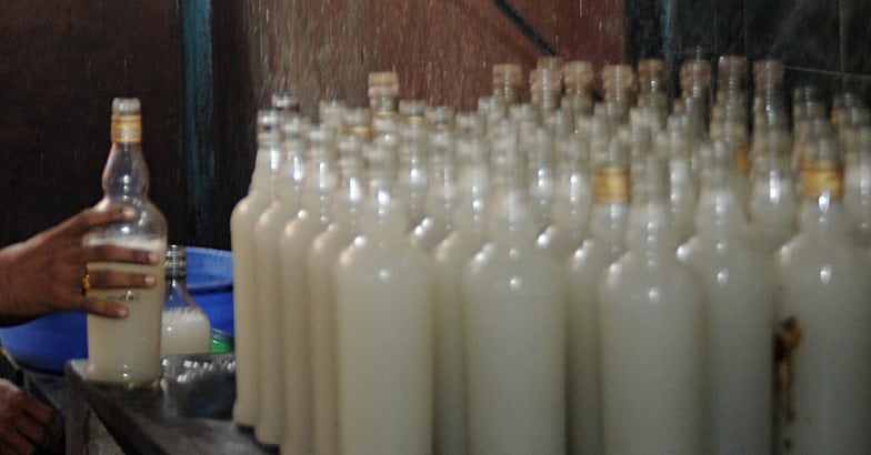 toddy toddy