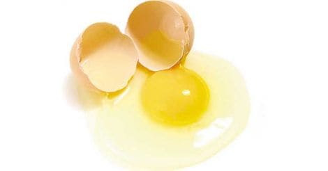 Egg-Yolk