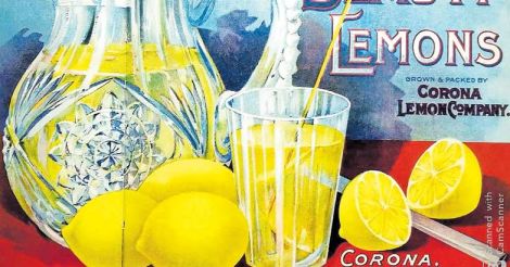 lemon-box-poster-4