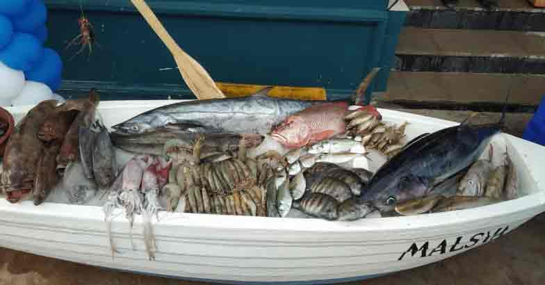 fish-tvm fish-tvm