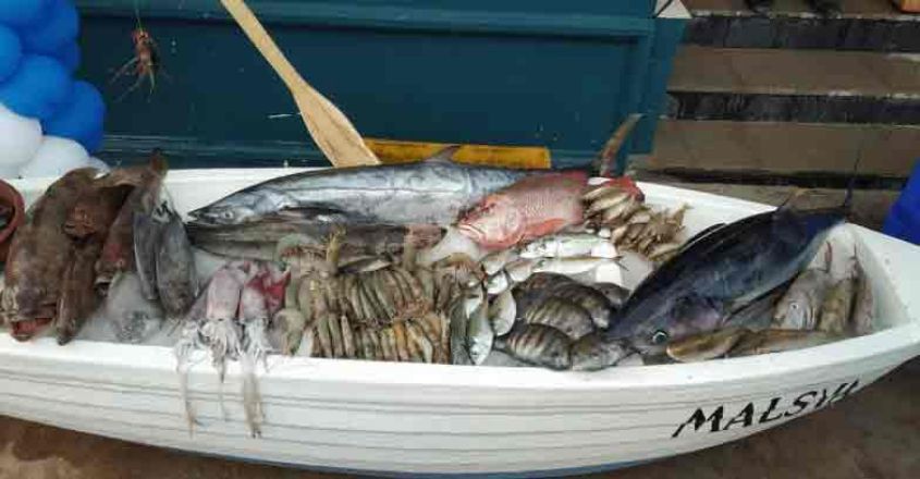 fish-tvm fish-tvm