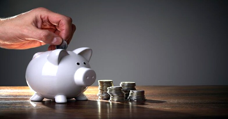 moneypig moneypig