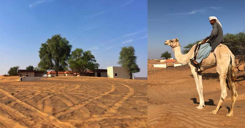 al-madam-desert-village al-madam-desert-village