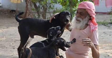 A man living with dogs
