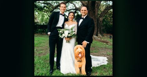 Leo the dog with couples