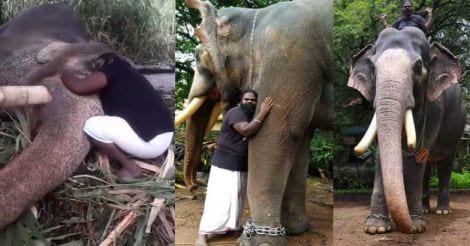 viral-mahout-elephant-video-sreekumar-vinayasundar-relationship-story